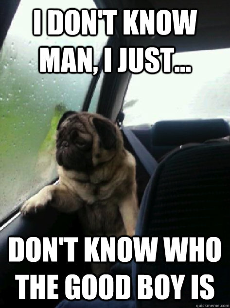 I don't know man, I just... don't know who the good boy is  Introspective Pug
