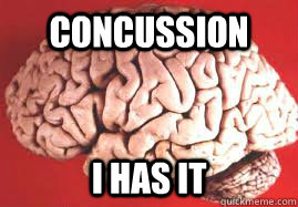 Concussion I Has it  NHL Concussion