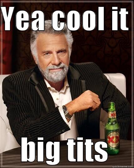 YEA COOL IT  BIG TITS The Most Interesting Man In The World