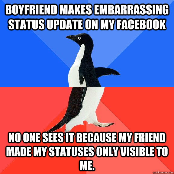 Boyfriend makes embarrassing status update on my facebook No one sees it because my friend made my statuses only visible to me.  Socially Awkward Awesome Penguin