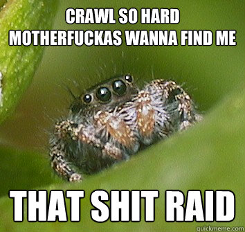 crawl so hard motherfuckas wanna find me that shit raid  Misunderstood Spider