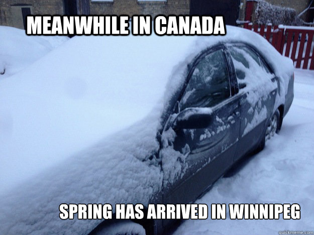 Meanwhile in Canada Spring has arrived in Winnipeg  