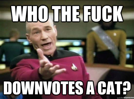 Who the fuck downvotes a cat? - Who the fuck downvotes a cat?  Annoyed Picard HD