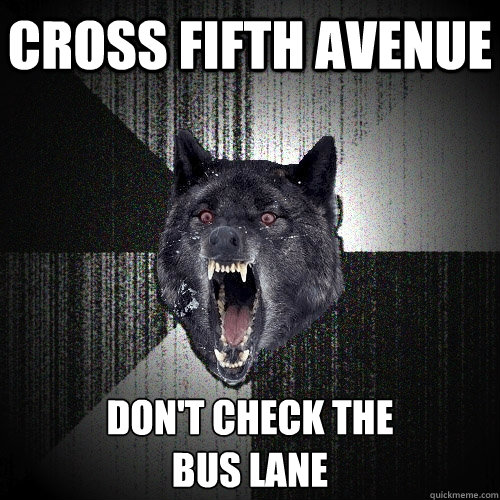 cross fifth avenue don't check the
bus lane  Insanity Wolf