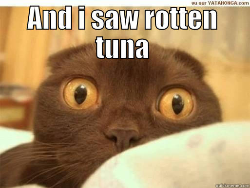 AND I SAW ROTTEN TUNA  Misc