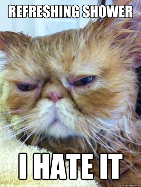 Refreshing Shower I hate it - Refreshing Shower I hate it  Grumpy shower cat