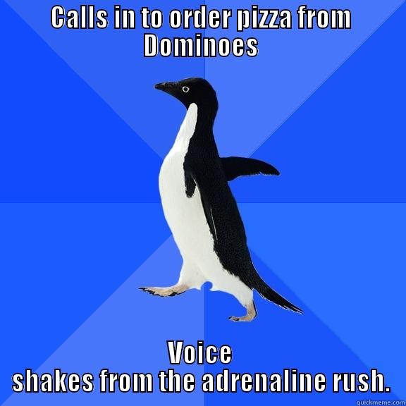 CALLS IN TO ORDER PIZZA FROM DOMINOES VOICE SHAKES FROM THE ADRENALINE RUSH. Socially Awkward Penguin