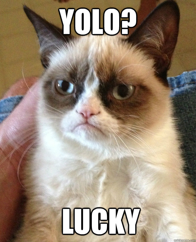 YOLO?  lucky  grumpycat