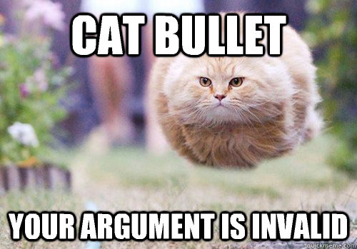 Cat bullet Your argument is invalid - Cat bullet Your argument is invalid  cat bullet