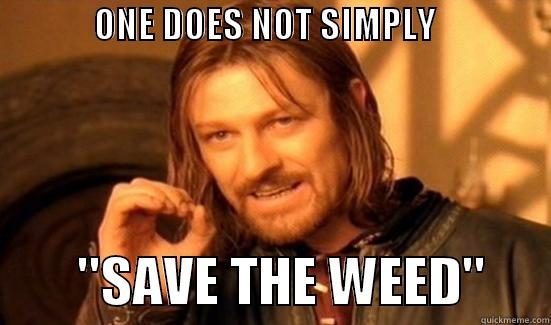              ONE DOES NOT SIMPLY                           