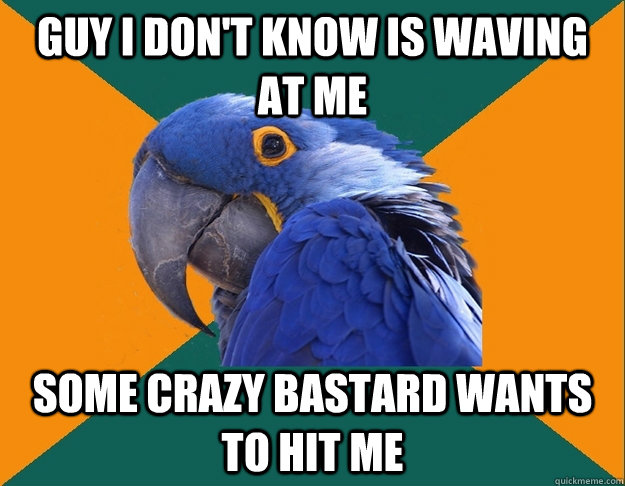 Guy I don't know is waving at me some crazy bastard wants to hit me  Paranoid Parrot