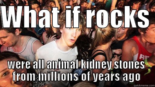 WHAT IF ROCKS  WERE ALL ANIMAL KIDNEY STONES FROM MILLIONS OF YEARS AGO Sudden Clarity Clarence