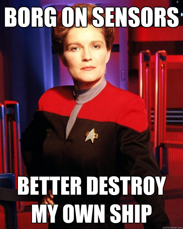 Borg on sensors Better destroy my own ship  