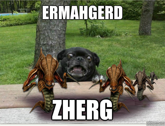 ZHERG - ZHERG  Berks Dog