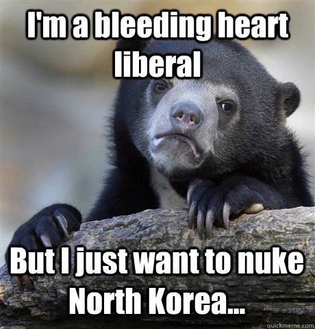 I'm a bleeding heart liberal But I just want to nuke North Korea...  Confession Bear