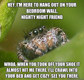 hey, i'm here to hang out on your bedroom wall,
nighty night friend whoa, when you took off your shoe it almost hit me there, i'll crawl into your bed and get cozy, see you there.  Misunderstood Spider
