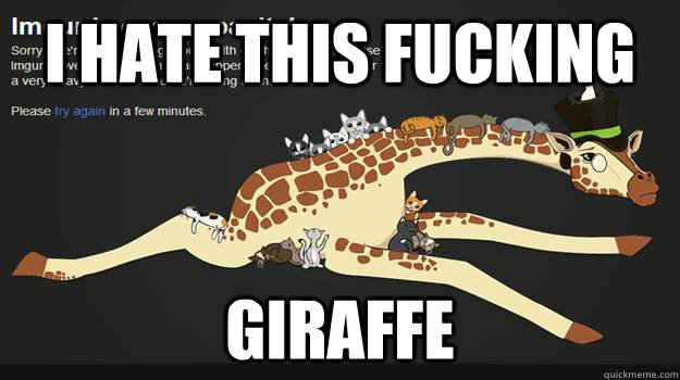 I Hate this Fucking giraffe - I Hate this Fucking giraffe  Misc