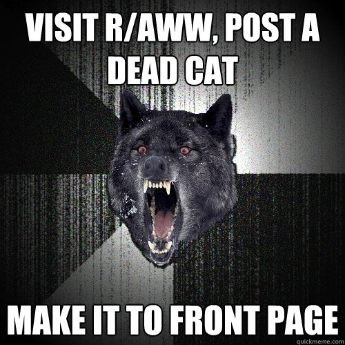 visit r/aww, post a dead cat make it to front page - visit r/aww, post a dead cat make it to front page  Insanity Wolf