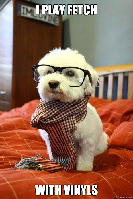 I play fetch with vinyls Caption 3 goes here  Hipster Dog