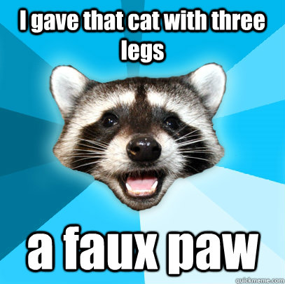 I gave that cat with three legs a faux paw  - I gave that cat with three legs a faux paw   Lame Pun Coon