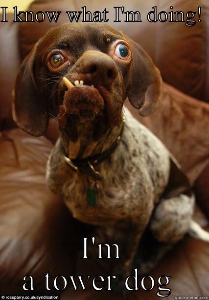 I KNOW WHAT I'M DOING!  I'M A TOWER DOG  Misc