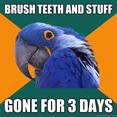 Brush teeth and stuff Gone for 3 days  Paranoid Parrot