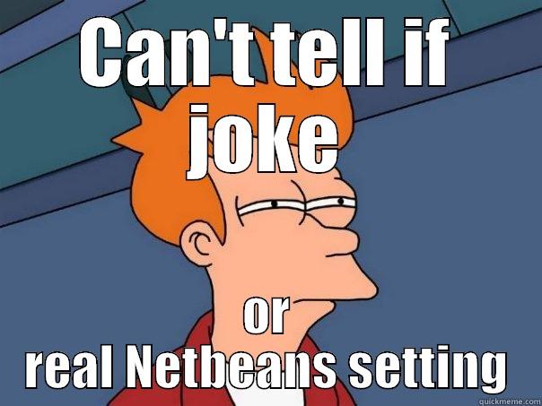 netbeans is dumb - CAN'T TELL IF JOKE OR REAL NETBEANS SETTING Futurama Fry