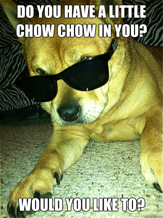 Do you have a little chow chow in you? would you like to?   
