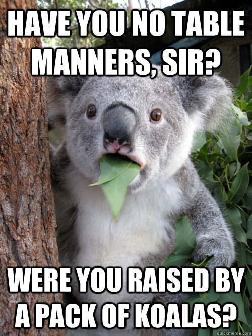 Have you no table manners, sir? Were you raised by a pack of koalas?  koala bear