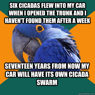Six Cicadas flew into my car when I opened the trunk and i haven't found them after a week seventeen years from now my car will have its own cicada swarm    Paranoid Parrot