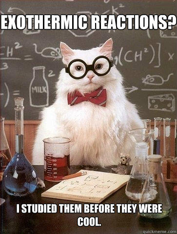 Exothermic Reactions? I studied them before they were cool.  Chemistry Cat