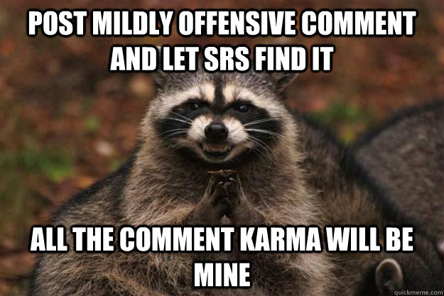 post mildly offensive comment and let srs find it all the comment karma will be mine  Evil Plotting Raccoon