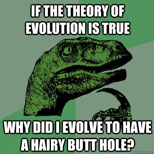 If the theory of evolution is true Why did I evolve to have a hairy butt hole? - If the theory of evolution is true Why did I evolve to have a hairy butt hole?  Philosoraptor