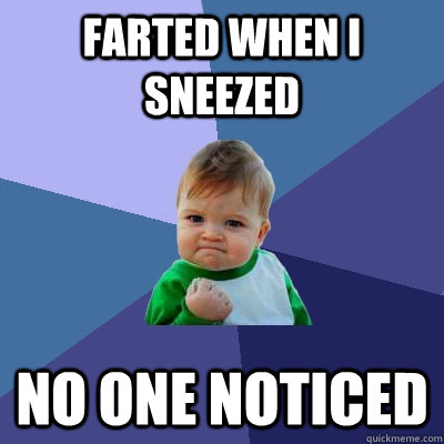Farted when I sneezed no one noticed  Success Kid