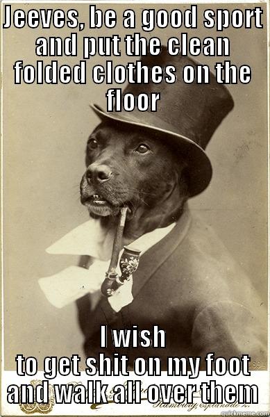 floor, clean clothes plus feces equals... - JEEVES, BE A GOOD SPORT AND PUT THE CLEAN FOLDED CLOTHES ON THE FLOOR I WISH TO GET SHIT ON MY FOOT AND WALK ALL OVER THEM Old Money Dog