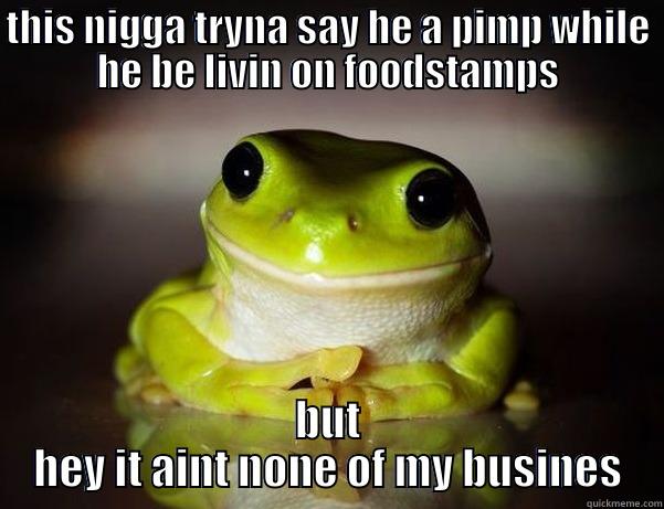 THIS NIGGA TRYNA SAY HE A PIMP WHILE HE BE LIVIN ON FOODSTAMPS BUT HEY IT AINT NONE OF MY BUSINES Fascinated Frog