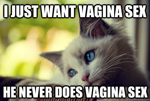 i just want vagina sex he never does vagina sex  First World Cat Problems