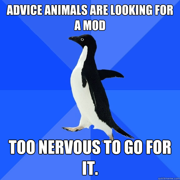 Advice animals are looking for a mod Too nervous to go for it.  Socially Awkward Penguin