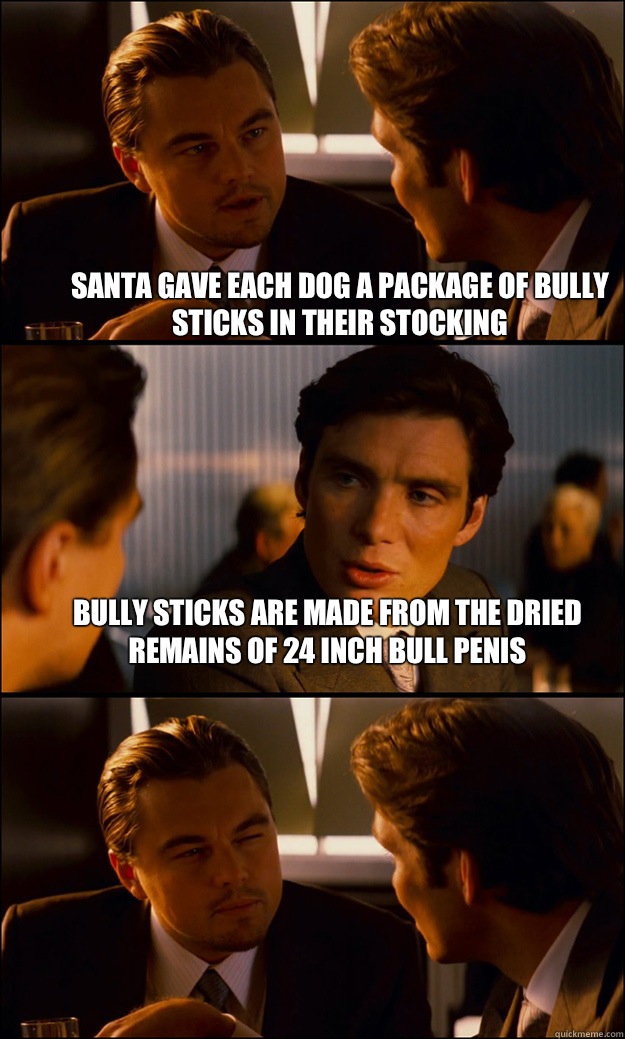Santa gave each dog a package of bully sticks in their stocking bully sticks are made from the dried remains of 24 inch bull penis   Inception
