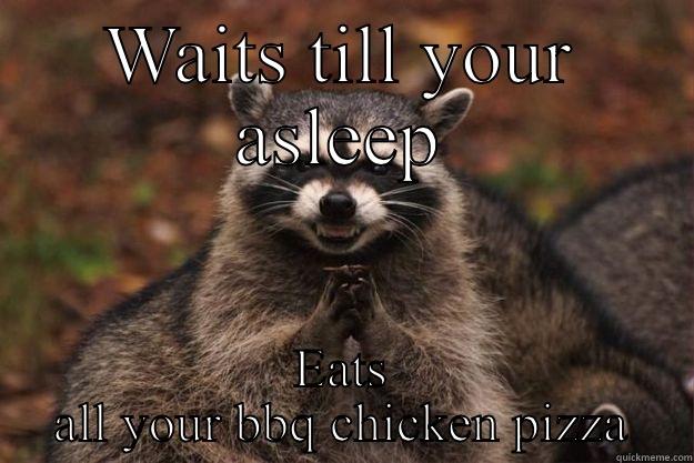 Bbq pizza guy  - WAITS TILL YOUR ASLEEP EATS ALL YOUR BBQ CHICKEN PIZZA Evil Plotting Raccoon