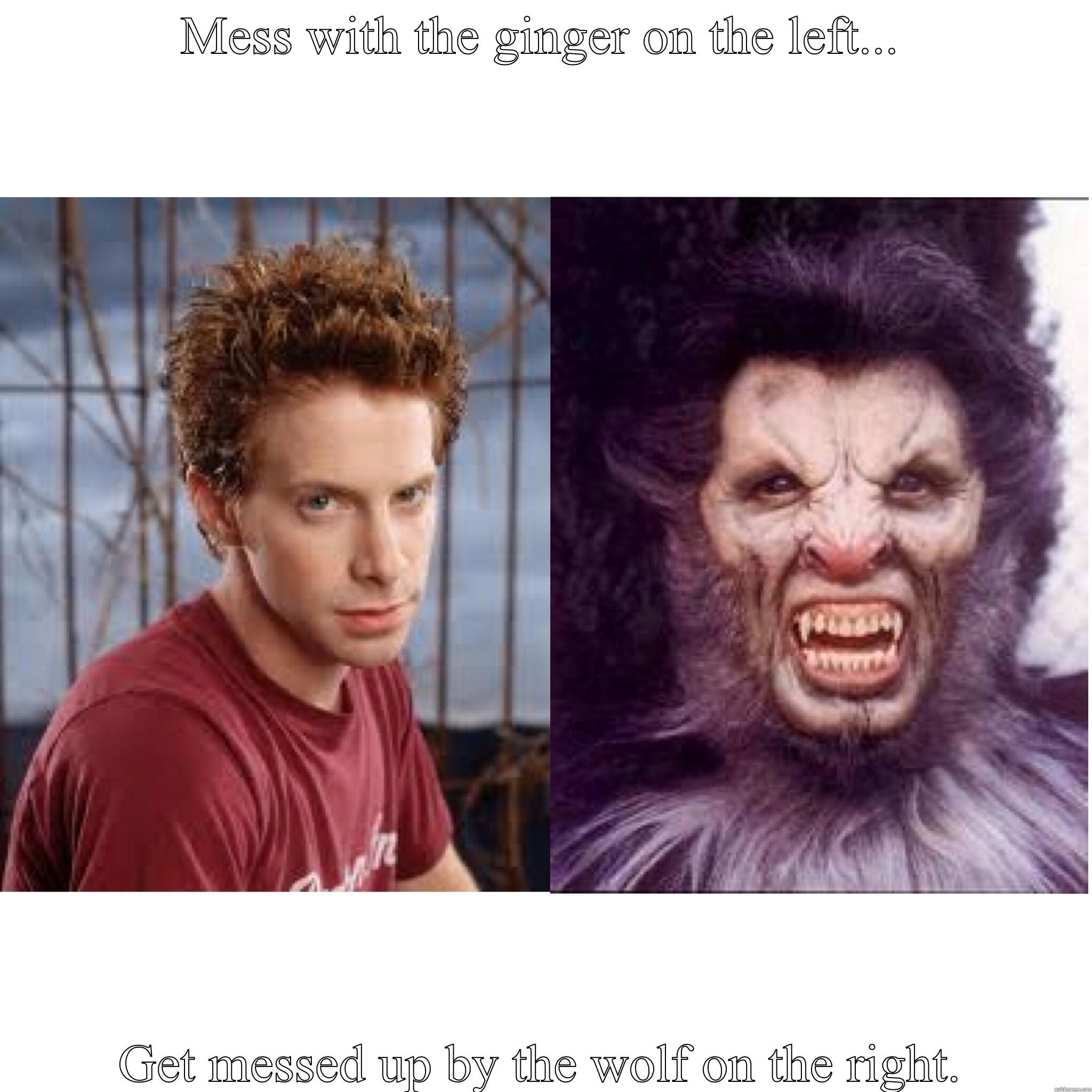 MESS WITH THE GINGER ON THE LEFT... GET MESSED UP BY THE WOLF ON THE RIGHT. Misc