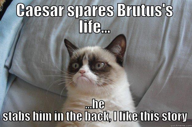 CAESAR SPARES BRUTUS'S LIFE... ...HE STABS HIM IN THE BACK, I LIKE THIS STORY Grumpy Cat