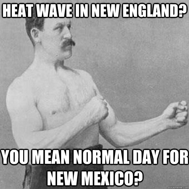 Heat wave in new England? you mean normal day for new mexico?  overly manly man