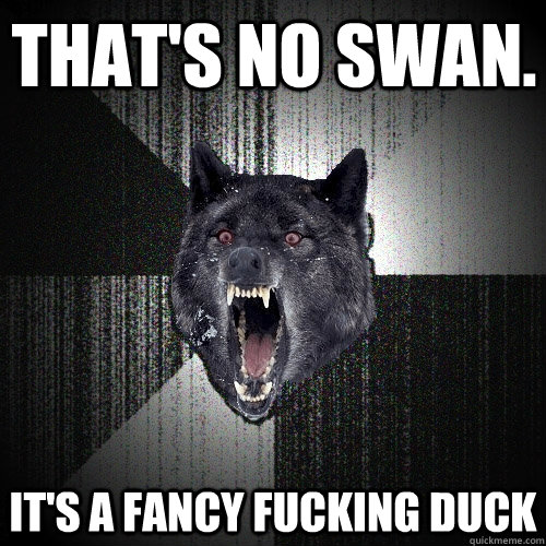 THAT'S NO SWAN. IT'S A FANCY FUCKING DUCK  Insanity Wolf