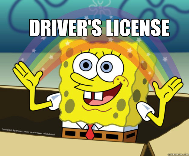 driver's License  Spongebob Imagination