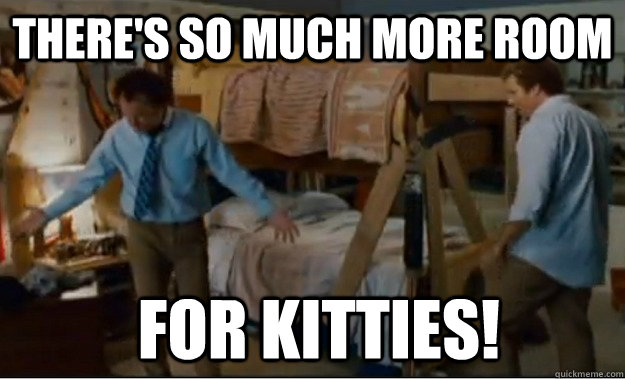 There's so much more room  for kitties!  Stepbrothers Activities