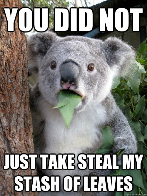 You did not Just take steal my stash of leaves - You did not Just take steal my stash of leaves  Confounded Koala