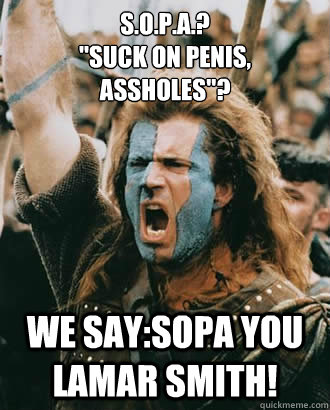 S.O.P.A.?

