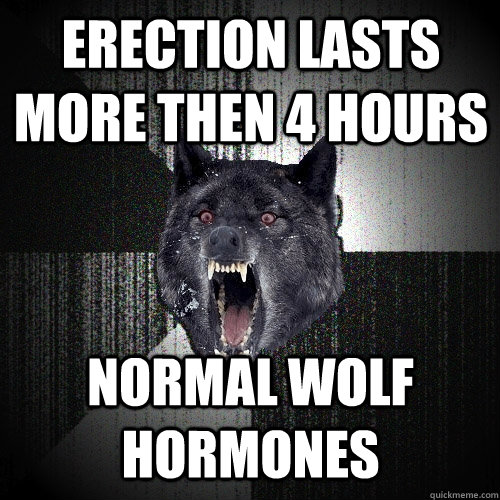 erection lasts more then 4 hours normal wolf hormones   Insanity Wolf