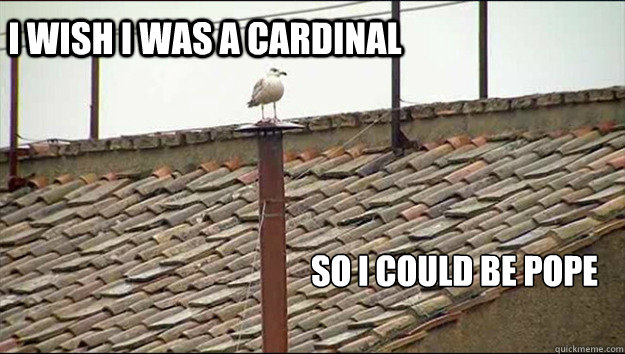 I wish I was a Cardinal So I could be pope - I wish I was a Cardinal So I could be pope  Pope Bird